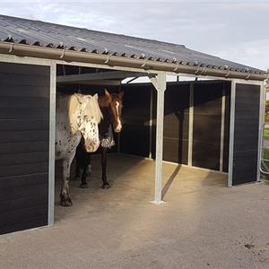 Shelter stable